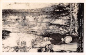 Longwood Florida Lake Mary Calvin Coolidge Big Tree Real Photo PC AA23461