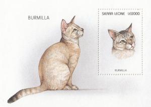 Sierra Leone Burmilla Cat Large Stamp