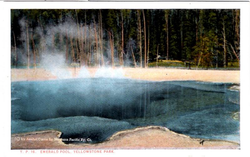 BLOOM, YP16, Emerald Pool, Yellowstone National Park