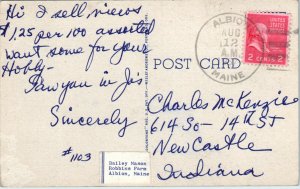 1930s Large Letter Greetings from Multnomah Falls Oregon Linen Postcard