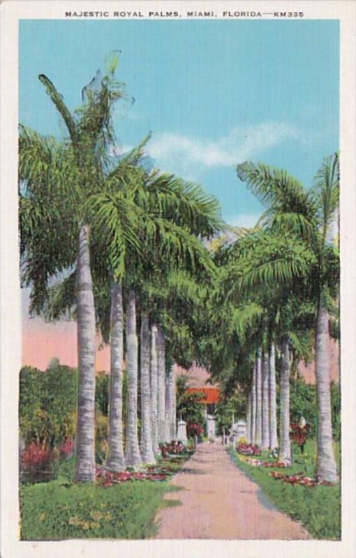 Florida Miami Majestic Royal Palms