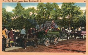 Vintage Postcard 1920's Pony Cart Ride Prospect Park Brooklyn New York N. Y.