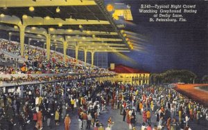 Crowd Watching Greyhound Racing at Derby Lane St Petersburg, Florida