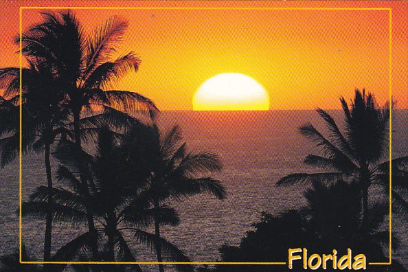 Tropical Florida Sunset