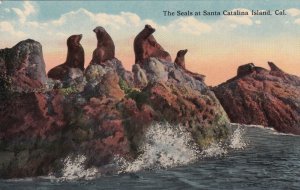 SANTA CATALINA ISLAND, California, 1900-1910s; The Seals