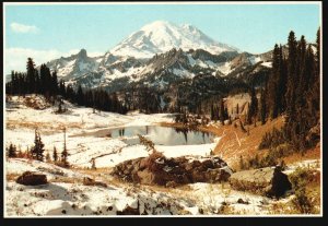 Vintage Postcard View From Chinook Pass Mount Rainier National Park Ashford WA