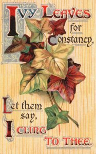 Vintage Postcard 1911 Ivy Leaves For Constancy Let Them Say I Cling To Thee 