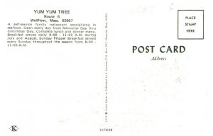 Massachusetts  Wellfleet Yum Yum Tree