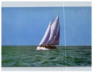 staysail schooner Utopia 