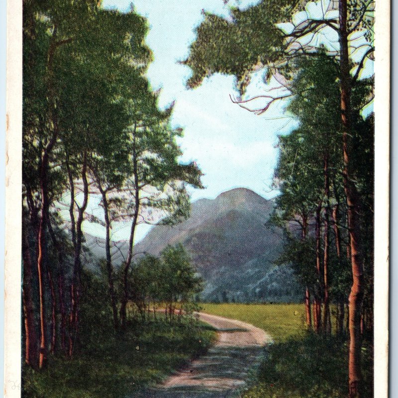 c1910s Estes Park, CO Mount Chapin PC Hike Camp Nature Scenic Mountain Road A273