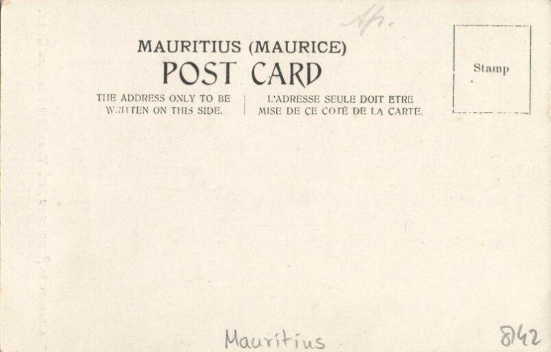 mauritius, PAMPLEMOUSSES, Royal Botanical Gardens 1910s