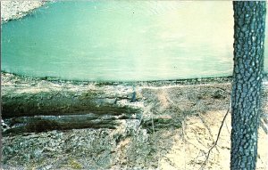 Maramec Spring Grounds Park Missouri Vintage Postcard