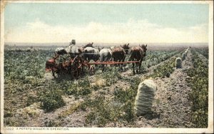 Farming Potato Digger in Operation 13222 Detroit Publishing c1910 Postcard