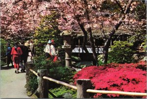 postcard San Francisco - Japanese Tea Garden - Large Stone Lantern and Tea House