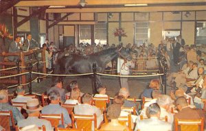 YEARLING SALES Keeneland Race Course Horse Lexington, KY c1950s Vintage Postcard