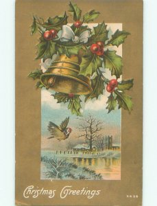 Divided-Back CHRISTMAS BIRDS SCENE Pretty Postcard W8559