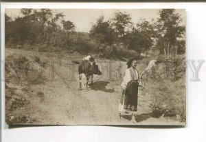 485464 Romania girl with cow and yarn Vintage Sfetea photo postcard