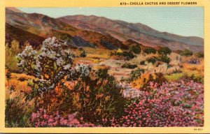 Cactus Cholla Cactus and Desert Flowers Curteich