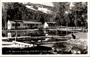 Real Photo Postcard St. Bernard Lodge in Mill Creek, California~1171