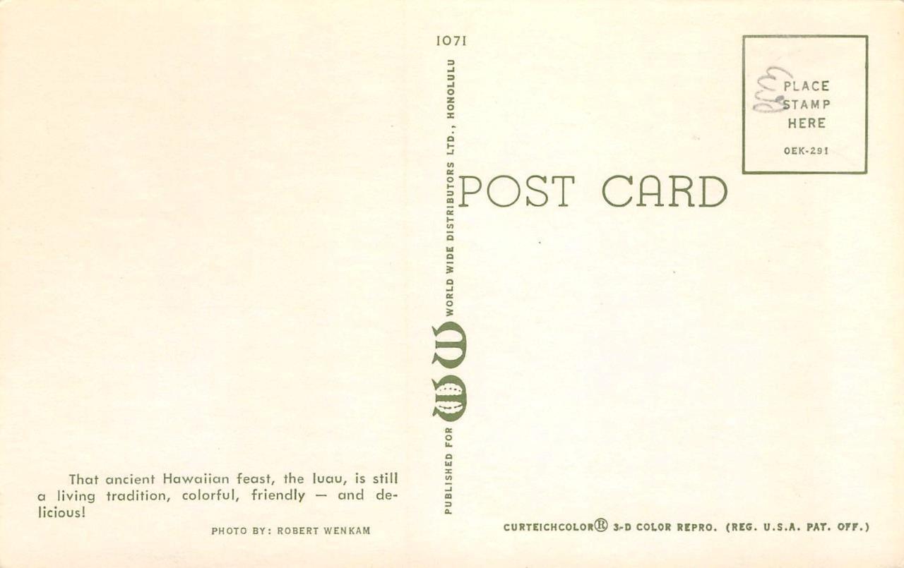 LUAU Hawaiian Feast Pineapples HAWAII Beach c1950s Chrome Vintage