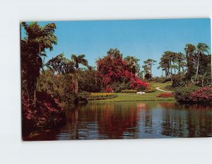 Postcard Blossom Time, fairyland of flowers, Cypress Gardens, Florida