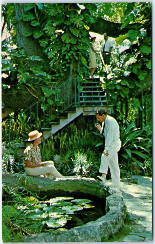 c1960s Nassau, Bahamas Royal Victoria Hotel Treehouse Isles June Chrome PC A299