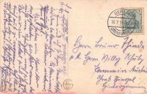 L352 Sweet Girl 1912 Daisies Bouquet Butterflies White Dress Hat postcard