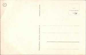 Mint Germany RPPC Hoffman Postcard  Horst Wessel Uniform Portrait