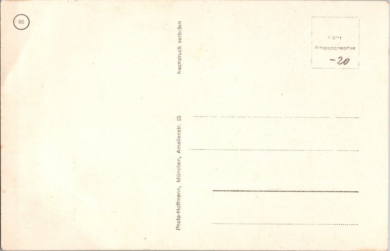 Mint Germany RPPC Hoffman Postcard  Horst Wessel Uniform Portrait