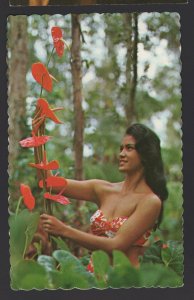 Hawaii Anthurium Spectacular and Long Lasting Flowers Young Girl pm1978 ~ Chrome