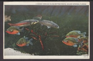 Florida Silver Springs - A Scene through Glass-Bottom Boats ~ Linen
