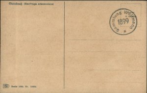 Mountain Climbing? Hiker Hiking Austria Silhouette c1910 Postcard