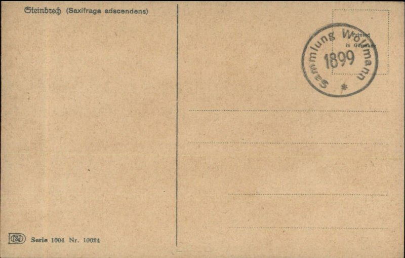 Mountain Climbing? Hiker Hiking Austria Silhouette c1910 Postcard