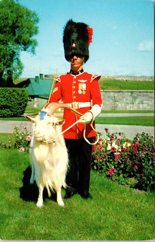 Baptiste 22e Regiment Mascot La Citadelle Quebec Canada Chrome Cancel Postcard 