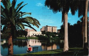 View Of St Petersburg Skyline Florida Postcard C338