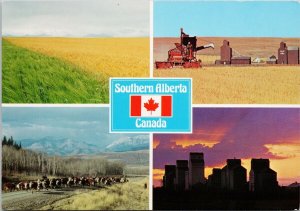 Southern Alberta AB Alta Elevators Farming Cattle Wheat Continental Postcard C10