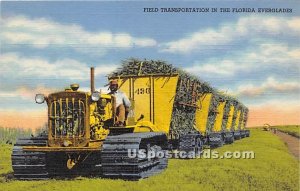 Field Transportation - Everglades, Florida FL  