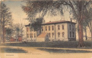 High School Chesaning Michigan 1907 hand colored postcard