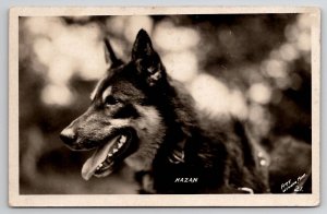 RPPC Kazan The Wolf Dog Frey Photo Winona MN Postcard T30