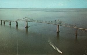 Vintage Postcard Sunshine Skyway High Span Bridge Across Tampa Bay Florida FL