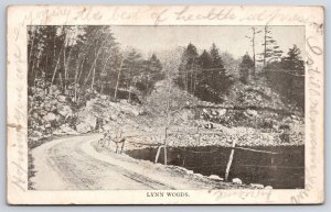 1905 Lynn Woods Crescent Lake Pathway Trail Park Massachusetts Posted Postcard