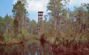 GA - Waycross. Observation Tower, Okefenokee Swamp Park