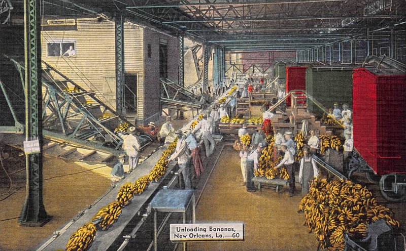 Unloading Bananas, New Orleans, Louisiana, Early Postcard, Unused