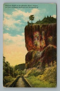 Oregon Railroad Navigation Co Oneonta Bluff Columbia River Michigan Postcard 