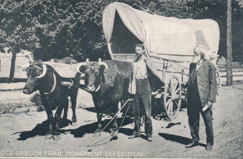 Ezra Meeker with Ox Wagon - Old Oregon Trail Monument Expedition - UDB