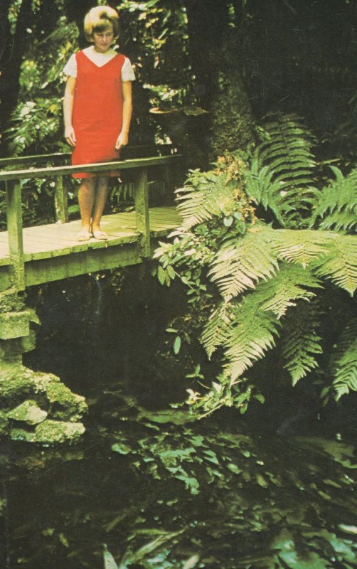 Girl On Bridge at Native Fern & Plants Pool Rotoria NZ Postcard