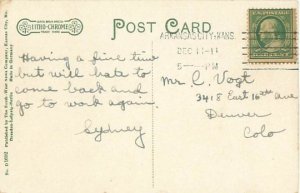 Arkansas City, KS Carnegie Library 1911 Postcard