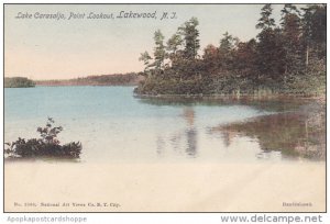 New Jersey Lakewood Lake Carasaljo Point Lookout