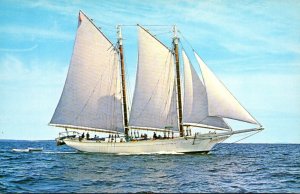 Ships Captain Hawkins' Windjammer Mary Day Of Sedgwick Cruising Al...