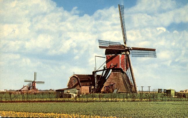 Windmill, Netherlands - Dutch Countryside - DB